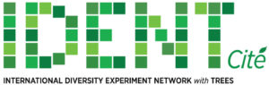 IDENT-Cité