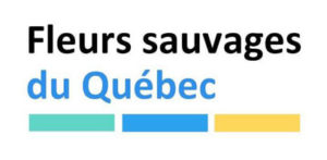 Fleurs sauvages du Québec